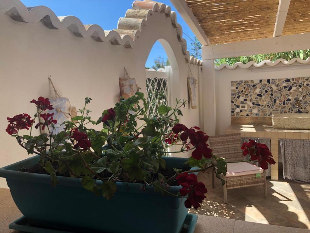 Cala Marina Holidays Vila Trappeto  Exterior foto